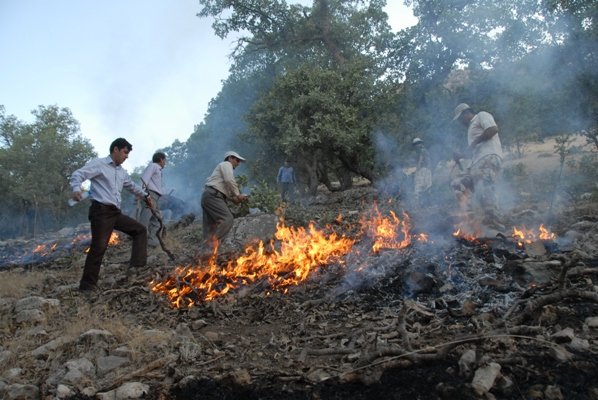 آتش سوزی در پارک جنگلی جزینک در سیستان و بلوچستان