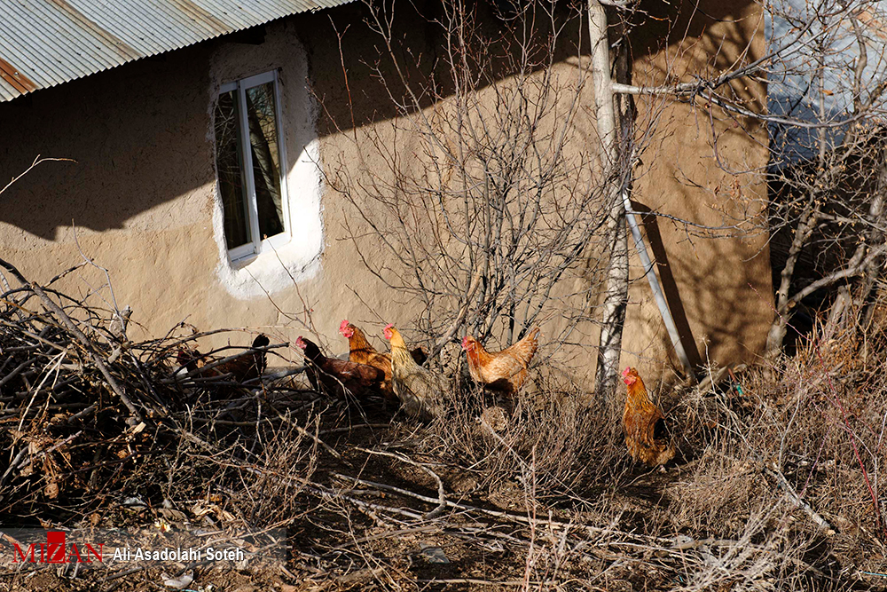 سفری به روستای توریستی ملومه+ تصاویر