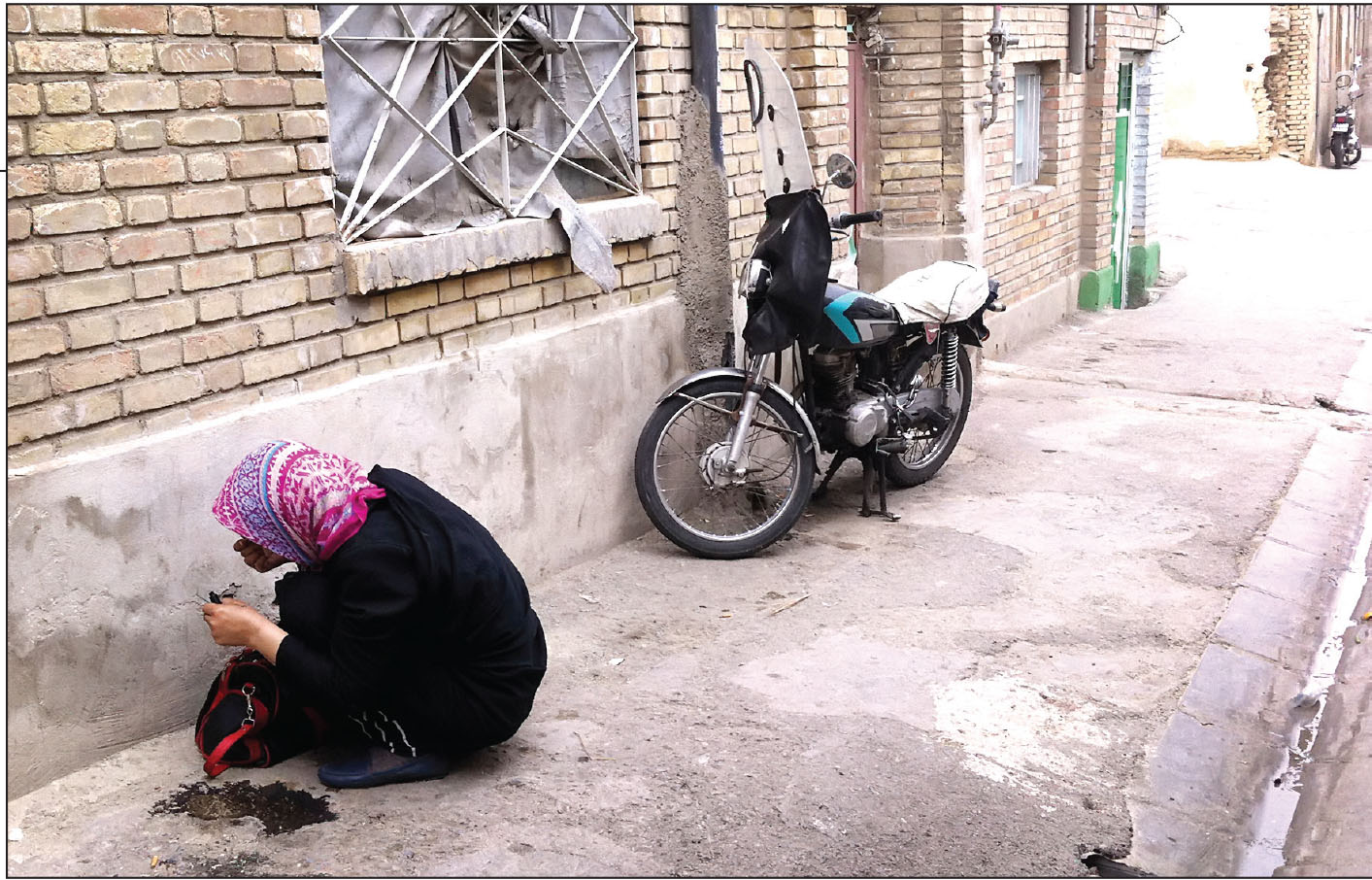پرستو باز می گردد