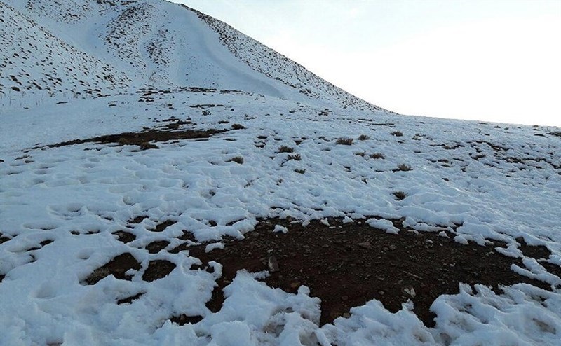 احتمال بارش 
