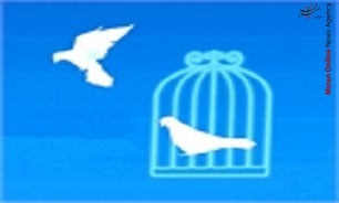 آزادی ۱۰۶۷۹ زندانی غیرعمد در سال ۹۶
