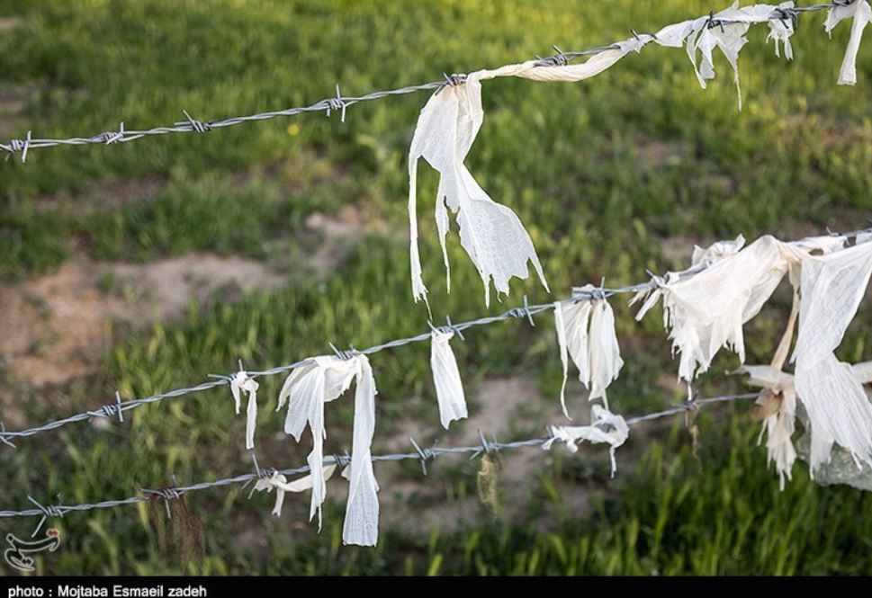 عکس/ شکوفه هایی از جنس پلاستیک بر درختان باغشهر ارومیه! عکس/ شکوفه هایی از جنس پلاستیک بر درختان باغشهر ارومیه!