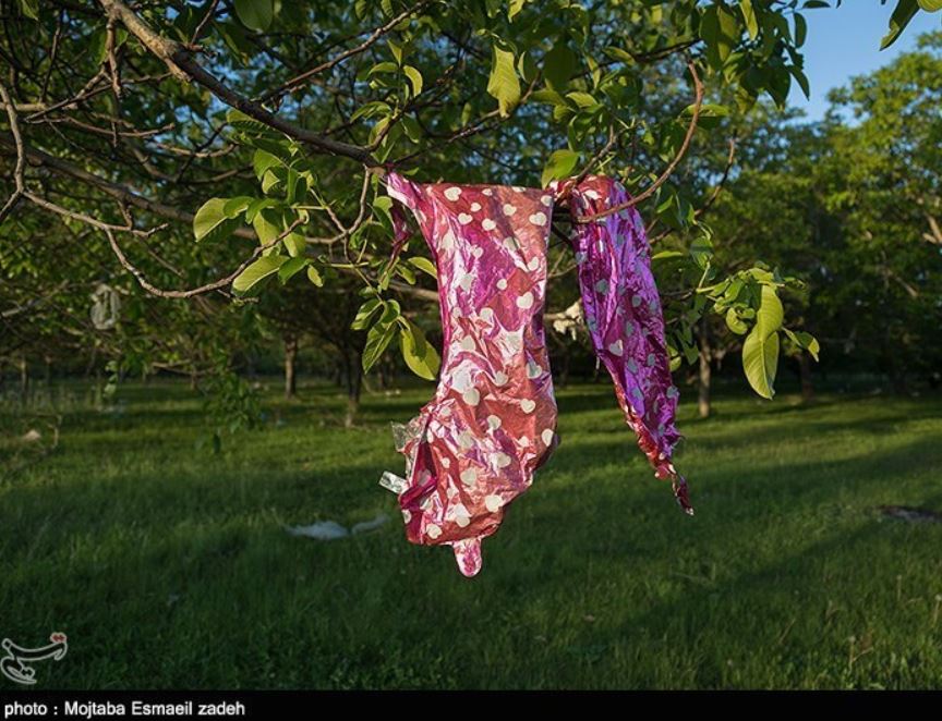 عکس/ شکوفه هایی از جنس پلاستیک بر درختان باغشهر ارومیه! عکس/ شکوفه هایی از جنس پلاستیک بر درختان باغشهر ارومیه!