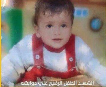 صهیونیستها متخصص در کودککشی / از علیِ ۱۸ ماهه که سوزانده شد تا لیلیِ ۸ ماهه که با گاز اشک آور به شهادت رسید صهیونیستها متخصص در کودککشی / از علیِ ۱۸ ماهه که سوزانده شد تا لیلیِ ۸ ماهه که با گاز اشک آور به شهادت رسید