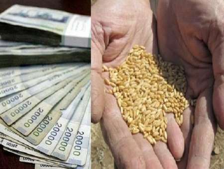 جلوگیری از توزیع گندم بی کیفیت در کشور با بهره گیری از مکانیسم بورس