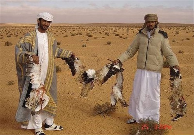 شکار «هوبره» توسط عرب‌ها، بخش مهم سیاست خارجی 
