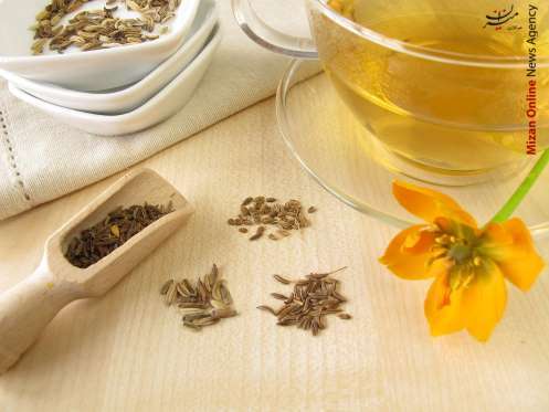 موادی که باعث چربی سوزی میشود+عکس موادی که باعث چربی سوزی میشود+عکس