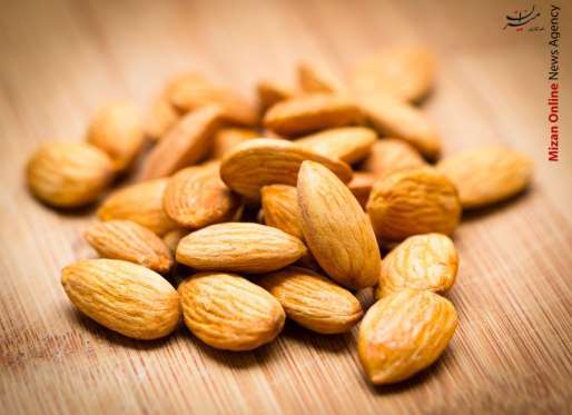 موادی که باعث چربی سوزی میشود+عکس موادی که باعث چربی سوزی میشود+عکس