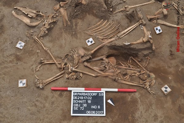 ناپلئون کشف آثاری از بزرگترین درگیریهای جنگهای ناپلئون +عکس