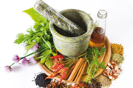 چگونگی پرورش گیاهان دارویی در منزل و داشتن داروخانه شخصی