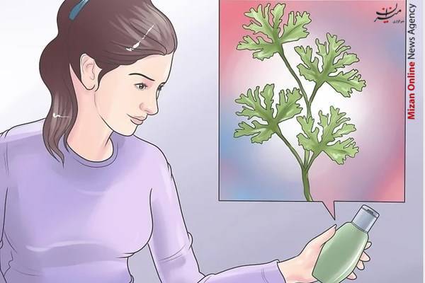 نیش پشه چگونه از نیش پشه در امان بمانیم؟