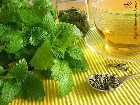 گیاهان دارویی ارتباط نشستنهای طولانی با ۱۴ بیماری کشنده/ ترفند جدید برای خوردن سبزی بیشتر