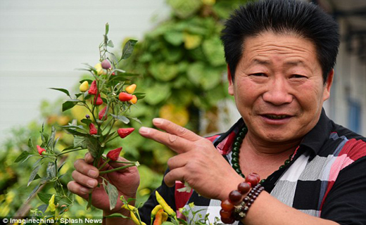 مردی که با فلفل دهانش را می شوید +تصاویر مردی که با فلفل دهانش را می شوید +تصاویر