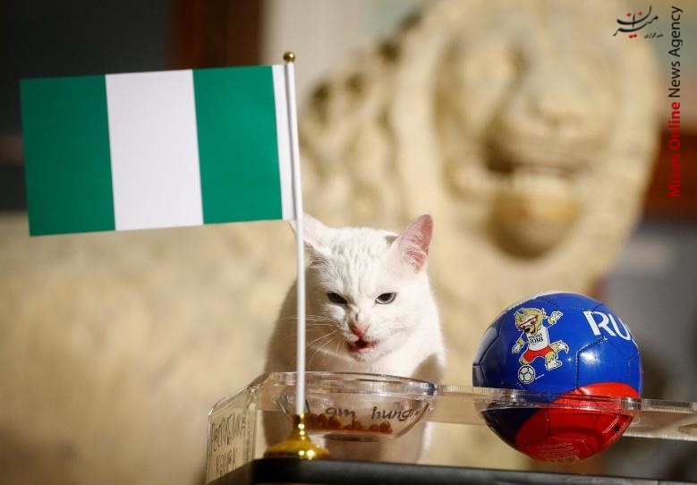 جامجهانی معروفترین پیش بینی کنندگان جامجهانی +عکس