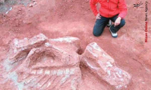 کشف استخوان دایناسور ۲۰۰ میلیون ساله کشف استخوان دایناسور ۲۰۰ میلیون ساله