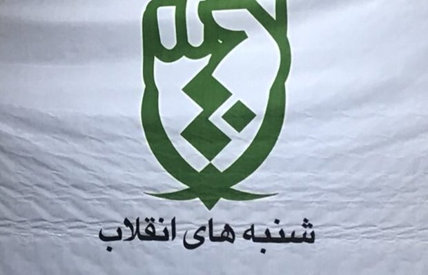 افشار: همه نظام‌های سیاسی جز انقلاب اسلامی، در شرق و غرب جهان در مشارکت عمومی شکست خورده‌اند/ ۲۳ تیر و ۹ دی؛ نمونه‌های عینی مشارکت مردم در خنثی سازی فتنه