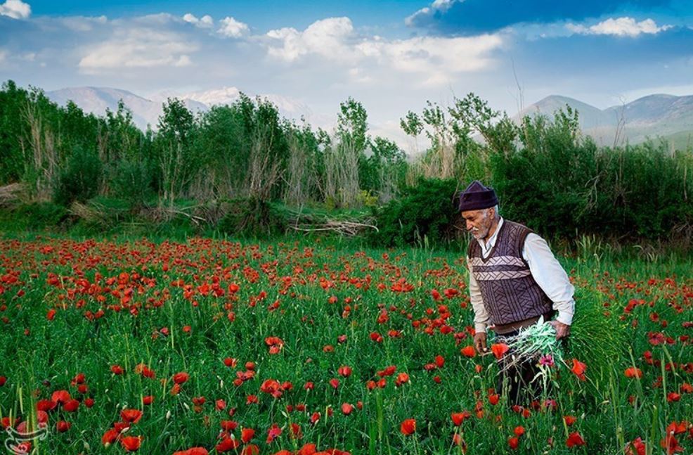 تصاویری از زیبایی های روستای هنام در استان لرستان