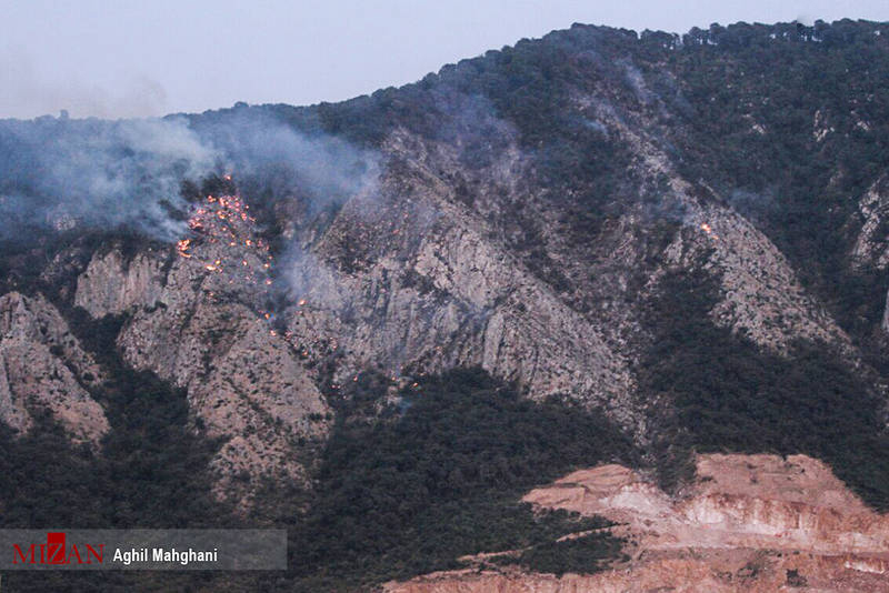 جنگل گلستان روایتی تصویری از اتفاقات روز گذشته/ نمایش نورپردازی هزارتوی زمان بر پیکره برج آزادی/ هواپیمای جدید ایرباس