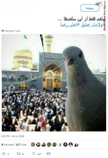ولادت امام رضا