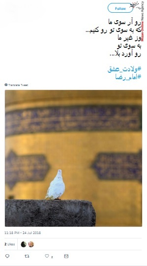 ولادت امام رضا
