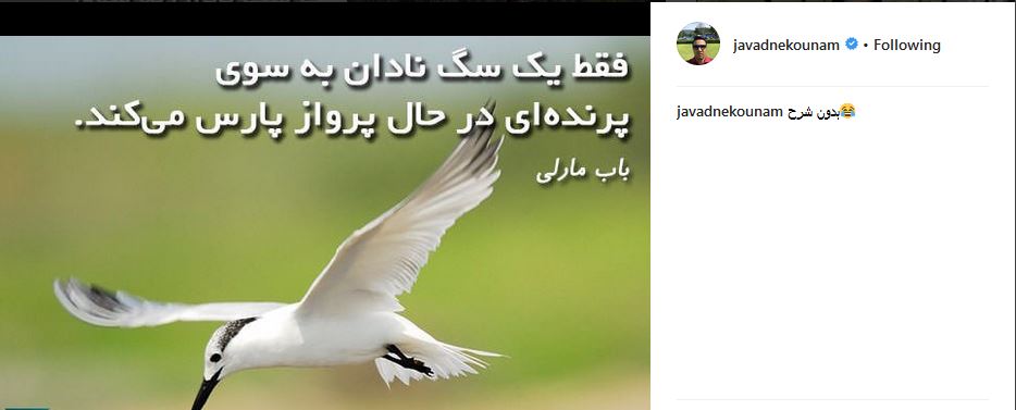 پست کنایه آمیز نکونام در اینستاگرام + عکس پست کنایه آمیز نکونام در اینستاگرام + عکس