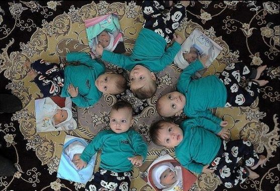 ایران چند چندقلو دارد؟