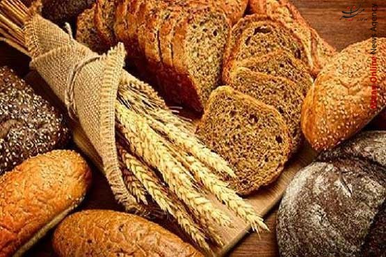 ۴ اقدام موثر برای تقویت عملکرد مغز/ علت چاق نشدن افراد لاغر چیست؟/ به ۷ دلیل دچار کمردرد شبانه می‌شوید