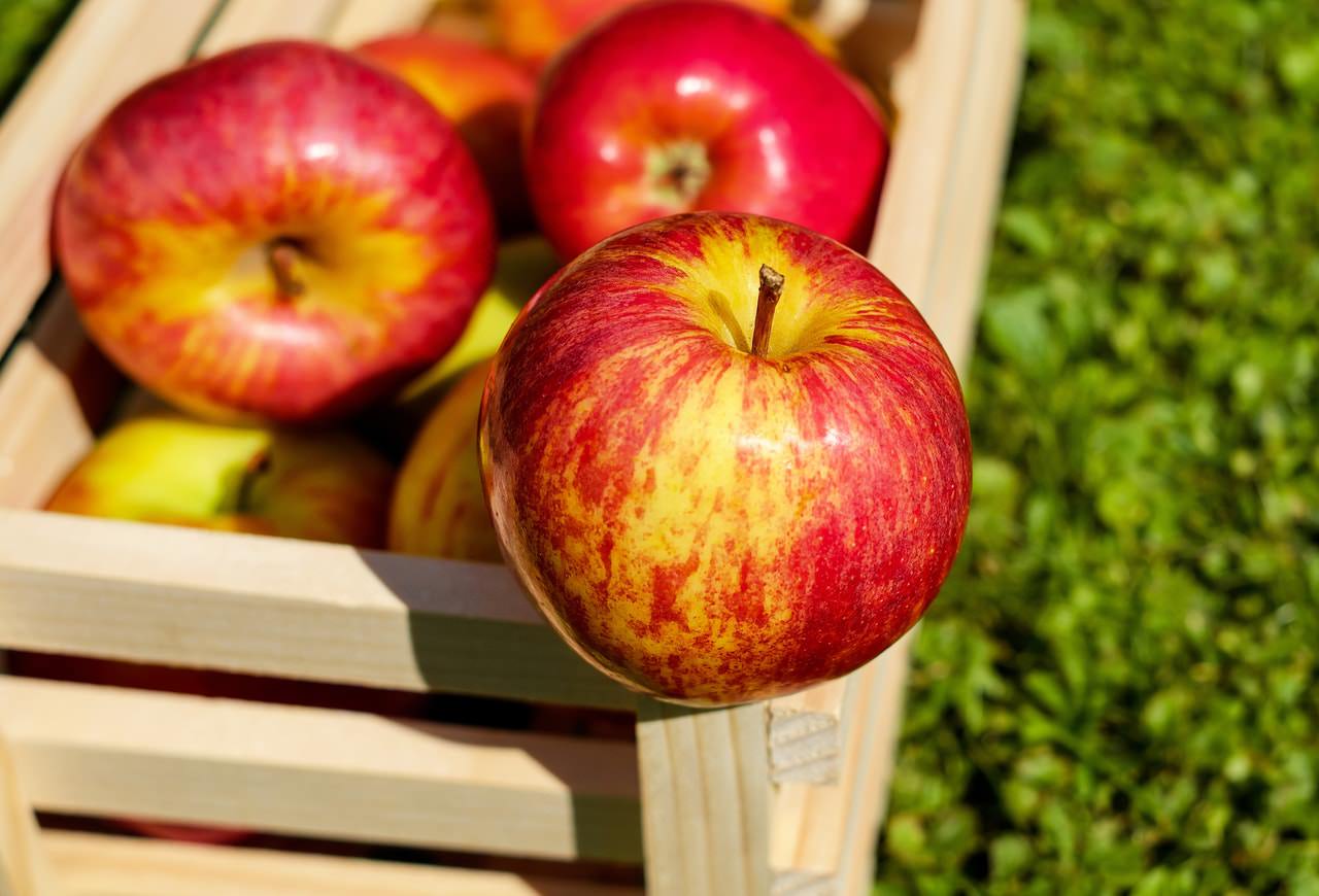 چرا قبل از غذا باید سیب خورد؟ چرا قبل از غذا باید سیب خورد؟