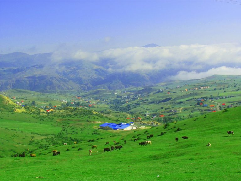 دیلمان شهر رویایی در سفر در تابستان+تصاویر