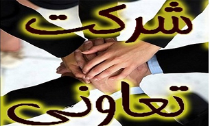 توجه‌ها باید به شرکت‌های تعاونی بیشتر شود