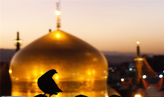 قطعه زیبای 