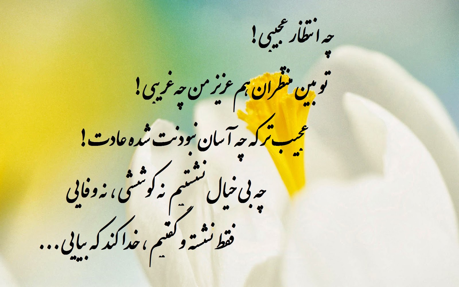 منتظر واقعی کیست؟/ خداوند نواقص تکالیف فردی چه کسانی را جبران میکند؟ منتظر واقعی کیست؟/ خداوند نواقص تکالیف فردی چه کسانی را جبران میکند؟