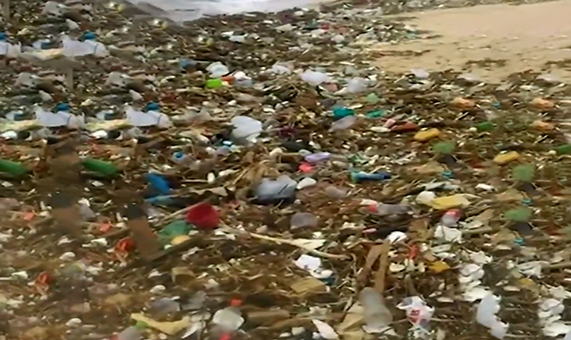 امواج زباله بر روی ساحلی در مکزیک + فیلم امواج زباله بر روی ساحلی در مکزیک + فیلم
