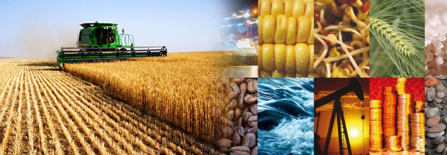رانت خواران از شفافیت بورس احساس خطر می‌کنند