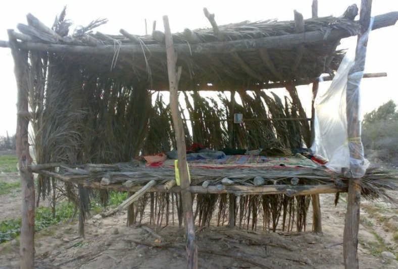 خنکای کویر در «خارخانه»