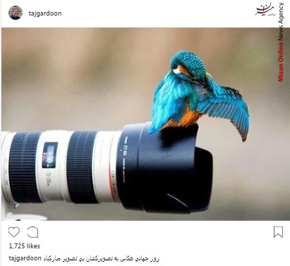 تاجگردون بازیگران