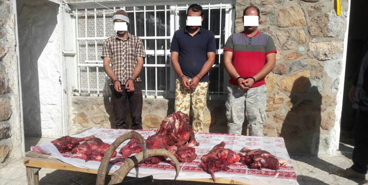 دستگیری ۳ نفر شکارچی غیرمجاز در پارک ملی لار دستگیری ۳ نفر شکارچی غیرمجاز در پارک ملی لار