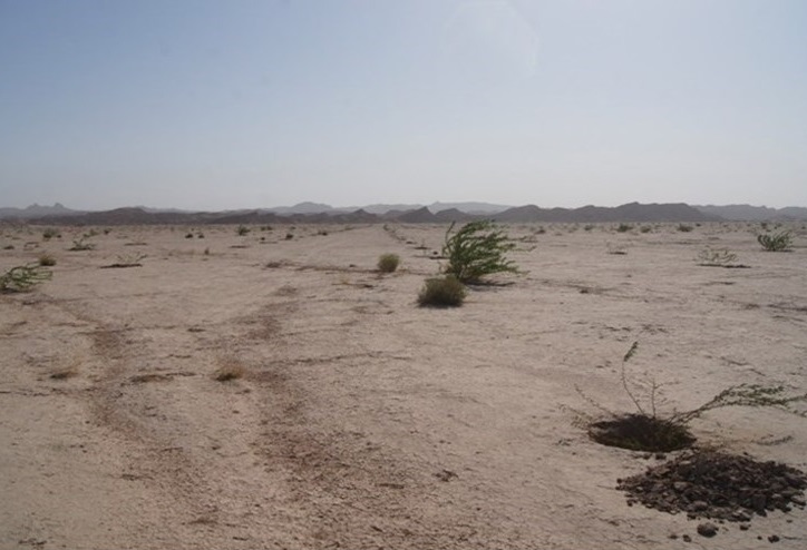 کلیات لایحه «ایجاد ۲۰ منطقه آزاد تجاری و اقتصادی» تصویب شد/ ۱۱۲ نماینده نقشی نداشتند