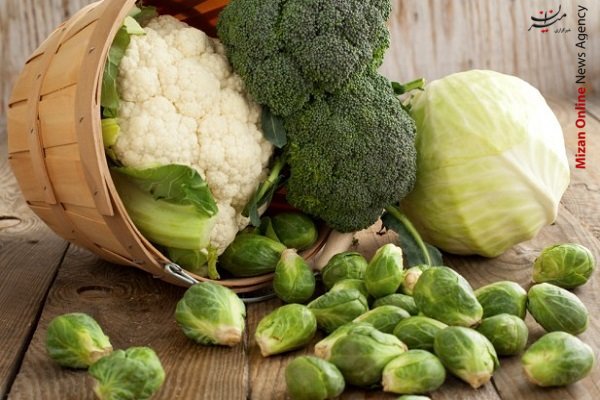 مواد خوراکی آشنایی با خواص شگفت انگیز روغن حیوانی/ روش افزایش وزن لاغرها/ ترفندهای طلایی برای رفع