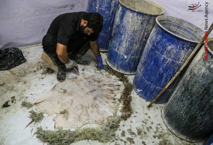 دمام‌سازی در اهواز +عکس