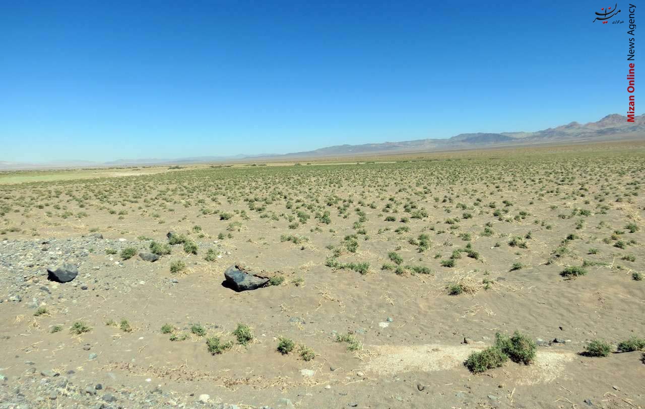 خشکسالی تالاب «کجی نهبندان» بحران آب و خشکسالی تالاب «کجی نهبندان» +عکس