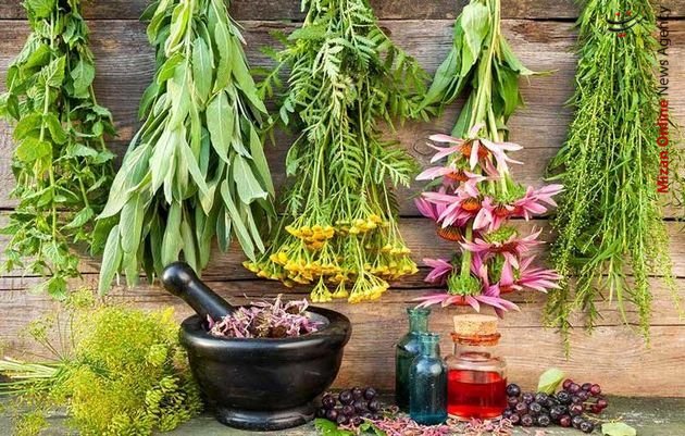 گیاهان دارویی خوشمزههای پرخطر/ بهشت سیستان و بلوچستان چشم انتظار گردشگران/ تجارت گیاهان دارویی در سال ۲۰۵۰ به ۵۰۰ بیلیون دلار میرسد