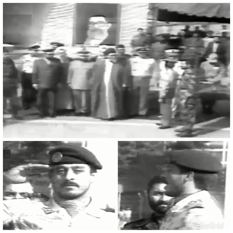 امیر سیاری امیر سیاری