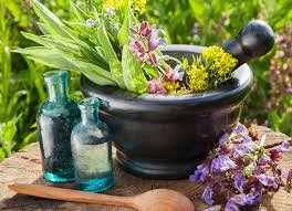 بی‌عوارض بودن گیاهان دارویی یک باور اشتباه است
