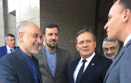 رایزنی‌های دوجانبه صالحی و همتای روسی در وین