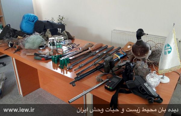 کشف یک بالابان از قاچاقچیان پرندگان شکاری درگز +تصاویر کشف یک بالابان از قاچاقچیان پرندگان شکاری درگز +تصاویر