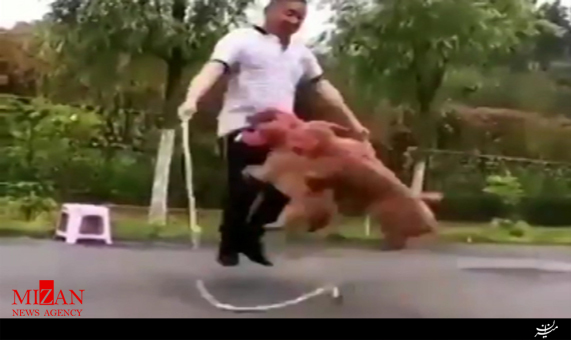 طناب زدن با سگ‌ها + فیلم