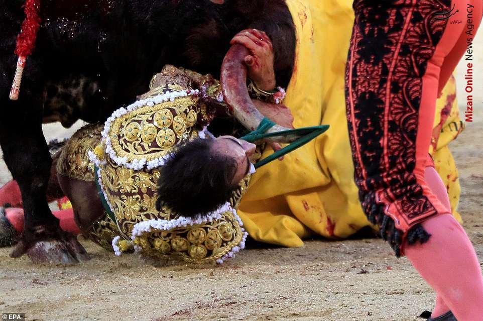مراسم گاو بازی در اسپانیا و زخمی شدن گاو باز+عکس مراسم گاو بازی در اسپانیا و زخمی شدن گاو باز+عکس
