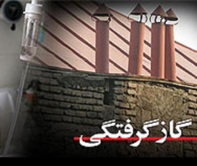 هشدار اداره کل پزشکی قانونی استان تهران در مورد گازگرفتگی با گاز co