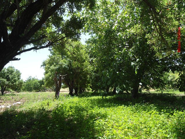 روستای جوزقان تخلیه کامل یک روستا در مازندران!/ سامانه آتش نشانی هوایی در اصفهان رونمایی شد